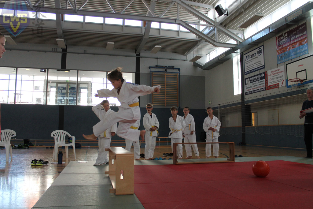 images/Bezirksoffene Judo-Safari 2018 der SG Weixdorf-036.jpg